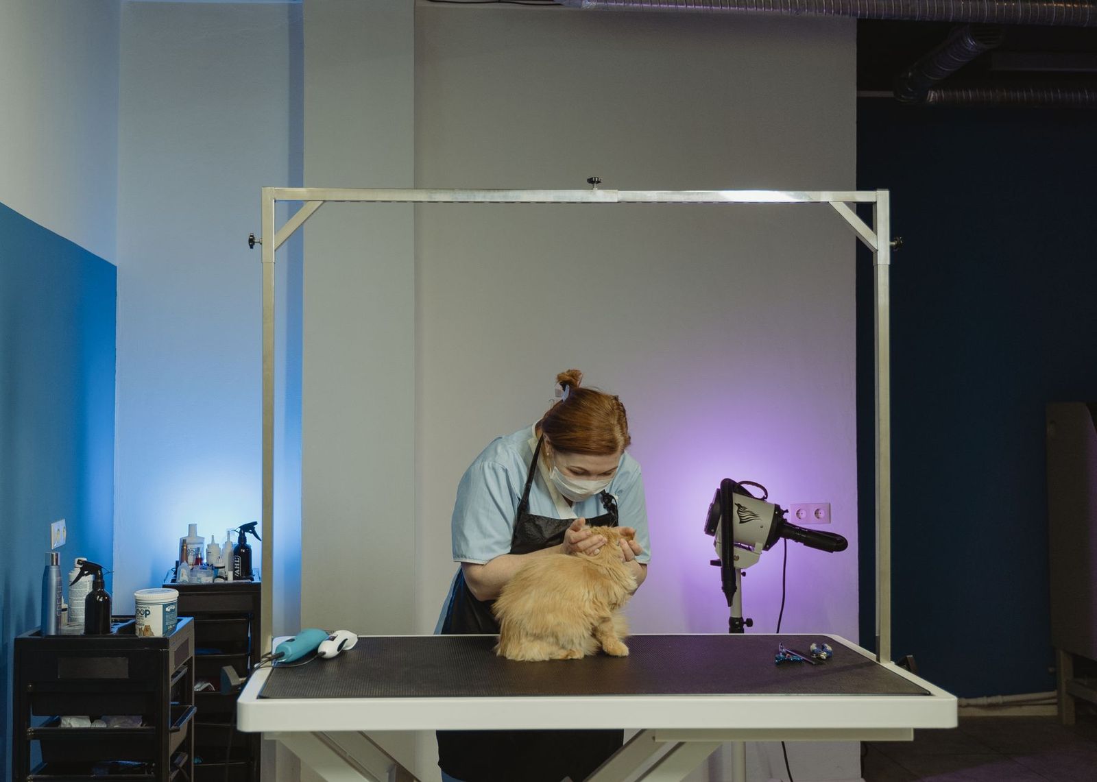 Groomerin kümmert sich um eine flauschige getigerte Katze
